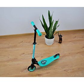 Dětská koloběžka Milly Mally Scooter Smart mátová