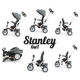 Dětská tříkolka 6v1 Milly Mally Stanley pink