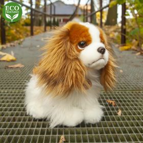 Plyšový pes king charles španěl 25 cm ECO-FRIENDLY RAPPA