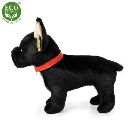 Plyšový francouzský buldoček černý s obojkem stojící 30 cm ECO-FRIENDLY RAPPA