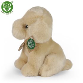 Plyšový pes labrador 18 cm ECO-FRIENDLY RAPPA