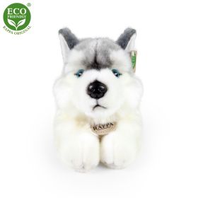 Plyšový pes husky ležící 30 cm ECO-FRIENDLY RAPPA