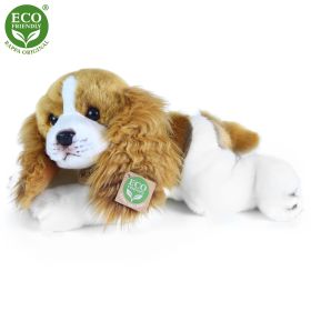 Plyšový pes kavalír king charles španěl ležící 30 cm ECO-FRIENDLY RAPPA