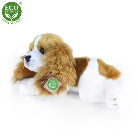 Plyšový pes kavalír king charles španěl ležící 30 cm ECO-FRIENDLY RAPPA
