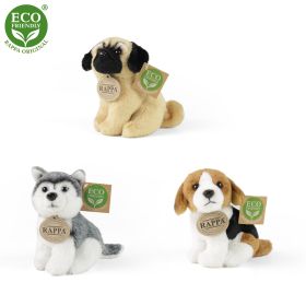 Displej exkluzivní plyš psi a kočky ECO-FRIENDLY RAPPA