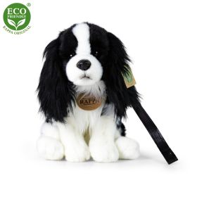 Plyšový pes kavalír King Charles španěl s vodítkem 27 cm ECO-FRIENDLY RAPPA