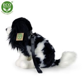 Plyšový pes kavalír King Charles španěl s vodítkem 27 cm ECO-FRIENDLY RAPPA