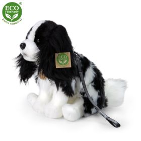 Plyšový pes kavalír King Charles španěl s vodítkem 27 cm ECO-FRIENDLY