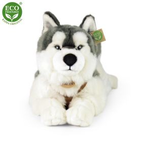 Plyšový pes husky s obojkem ležící 60 cm ECO-FRIENDLY RAPPA