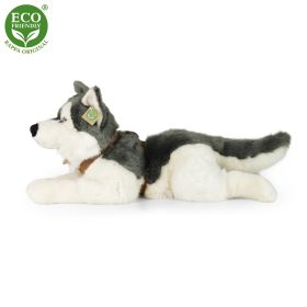 Plyšový pes husky s obojkem ležící 60 cm ECO-FRIENDLY RAPPA