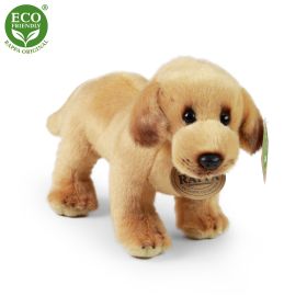 Plyšový labrador stojící 20 cm ECO-FRIENDLY RAPPA
