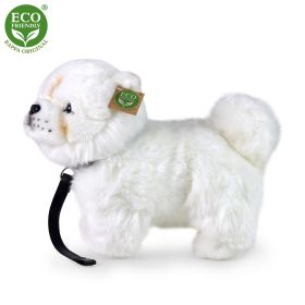 Plyšový pes čau-čau 30 cm ECO-FRIENDLY RAPPA