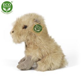 Plyšová kapybara 18 cm ECO-FRIENDLY RAPPA