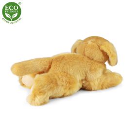 Plyšový retriever 30 cm ECO-FRIENDLY RAPPA