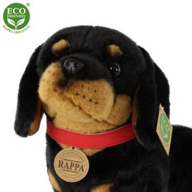Plyšový pes jezevčík 30 cm ECO-FRIENDLY RAPPA