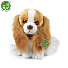 Plyšový pes kavalír King Charles španěl 28 cm ECO-FRIENDLY RAPPA