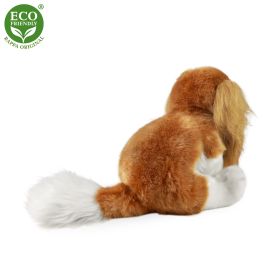 Plyšový pes kavalír King Charles španěl 28 cm ECO-FRIENDLY RAPPA