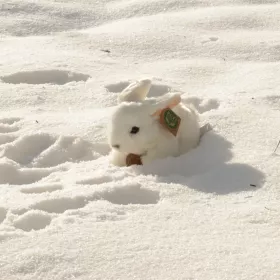 Plyšový králík bílý 16 cm ECO-FRIENDLY RAPPA