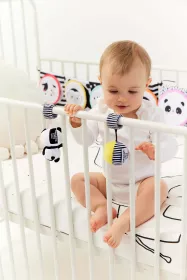 GAGAGU KNÍŽKA TYGR TM Toys