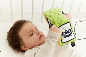 GAGAGU Smyslová dečka Tučňák a Mýval TM Toys