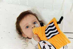 GAGAGU Smyslová dečka Tučňák a Mýval TM Toys