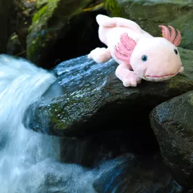 Plyšový axolotl 33 cm ECO-FRIENDLY RAPPA