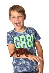 MAGANA Pavouk na ovládání MPK Toys